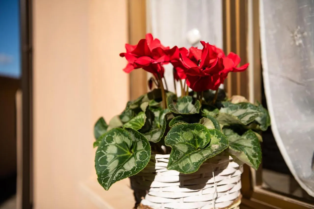 Casa Di Stefania Appartement Fluminimaggiore Italië